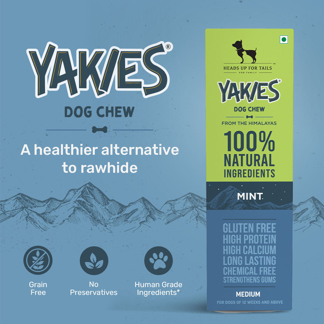HUFT Yakies Vegetarian Natural Chew Bone - Mint - 55g