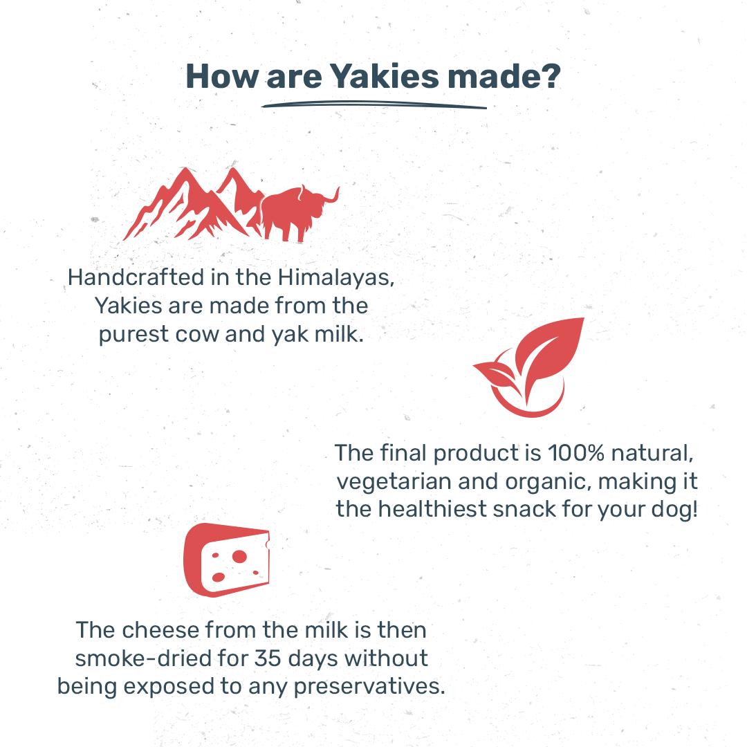 HUFT Yakies 100% Natural & Vegetarian Apple Chew Bone For Dog
