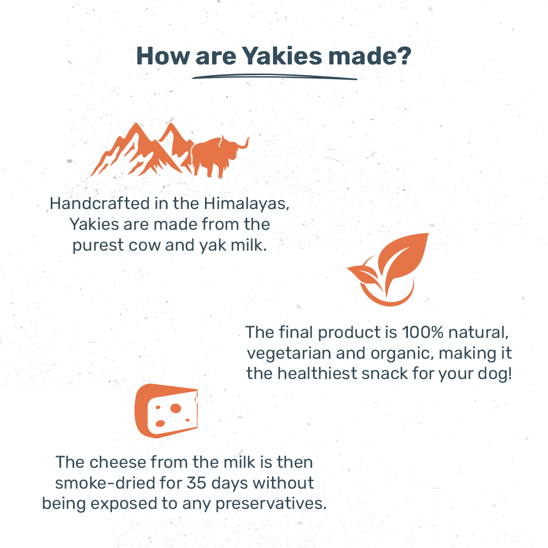 HUFT Yakies Vegetarian Natural Chew Bone - Turmeric - 55g