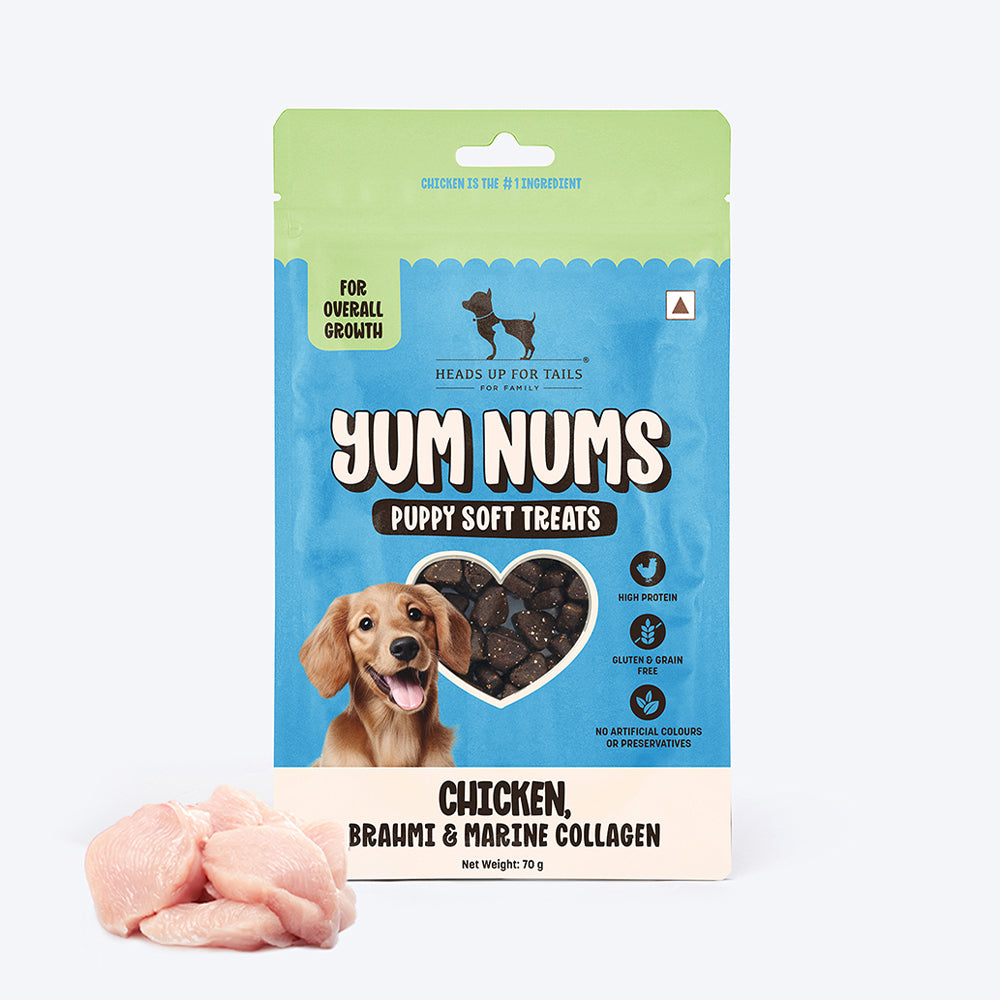 HUFT Yum Nums Chicken, Brahmi & Marine Collagen Puppy Soft Treats - 70 g