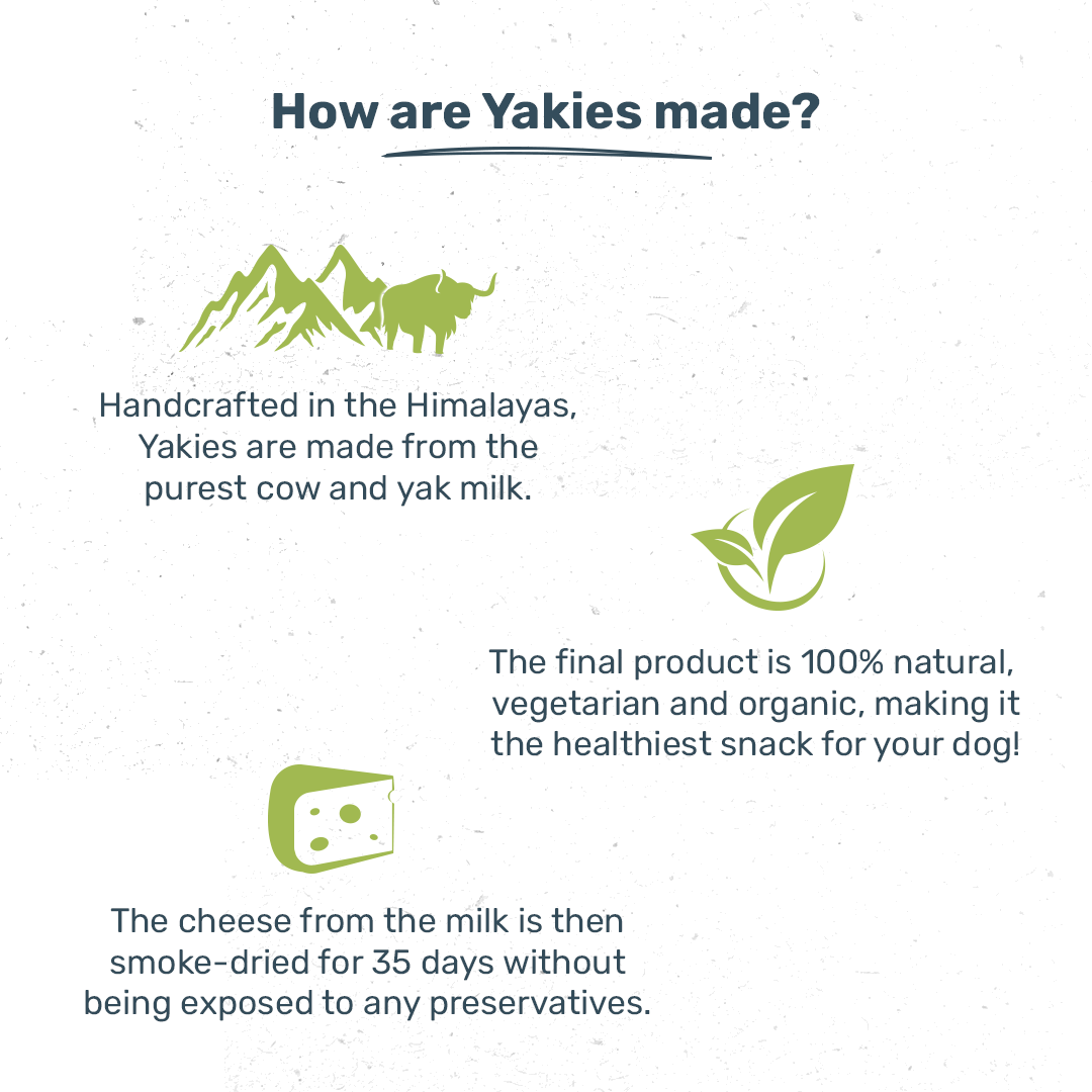 HUFT Yakies Vegetarian Natural Chew Bone - Mint - 55g