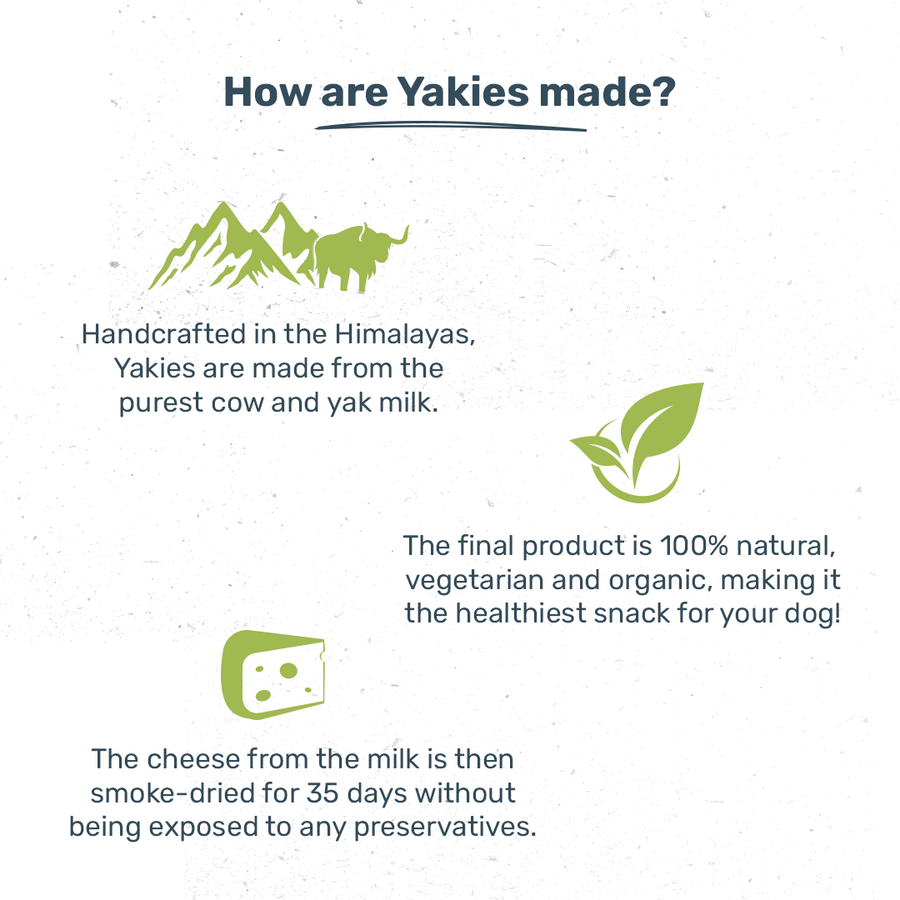 HUFT Yakies Vegetarian Natural Chew Bone - Mint - 55 gm