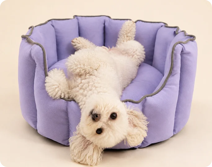 Bedding