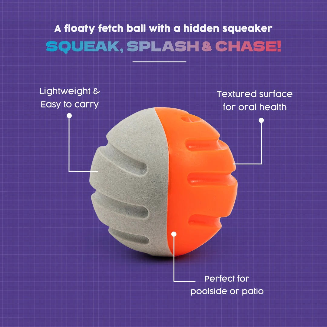 Dash Dog Double Trouble Ball Toy For Dog