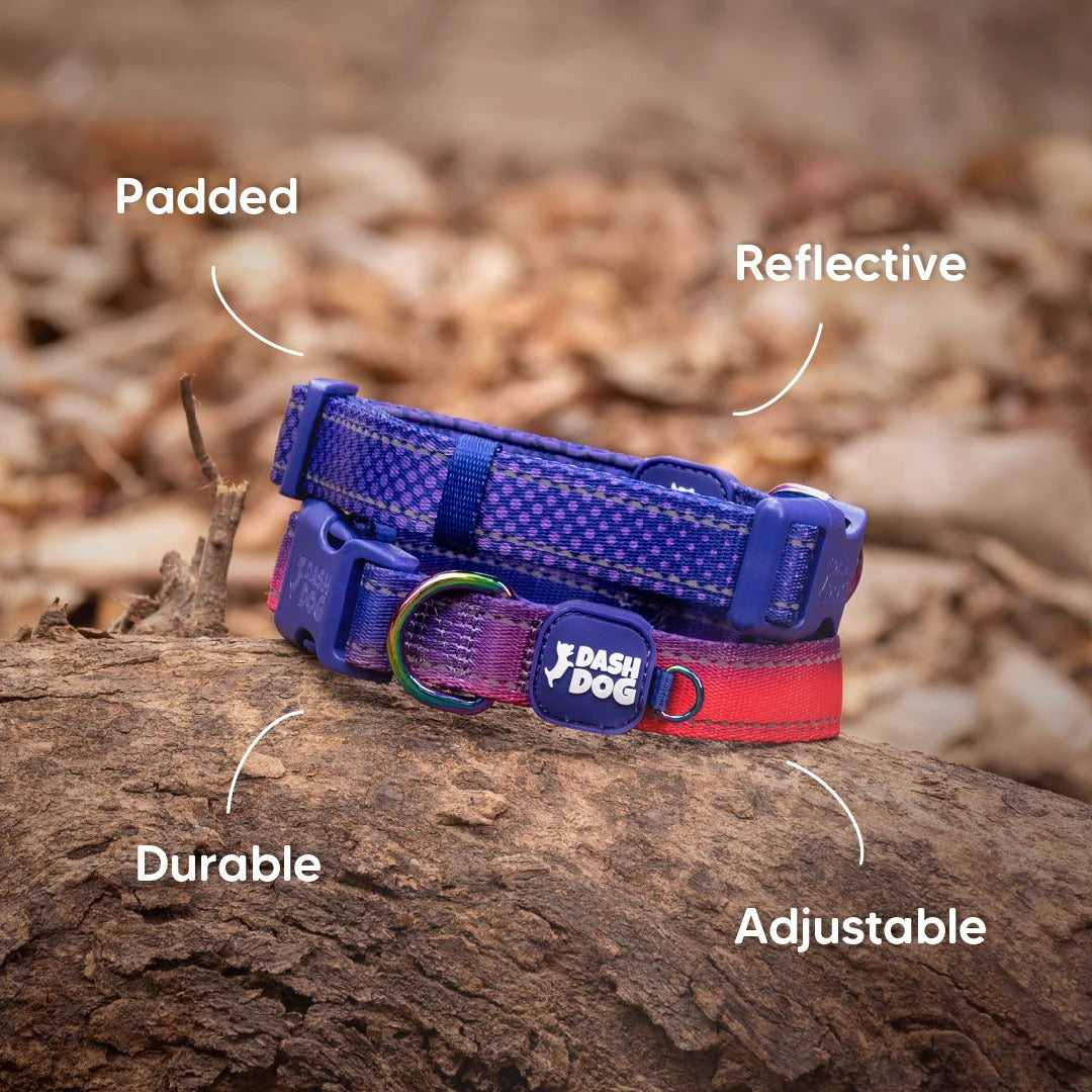 Dash Dog Flow Padded Collar For Dog - Red & Purple