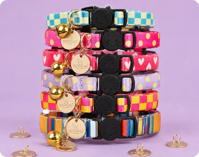 Collar & Accessories