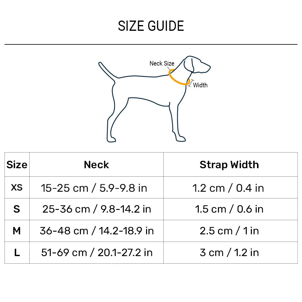 Dash Dog Flow Padded Collar For Dog - Red & Purple
