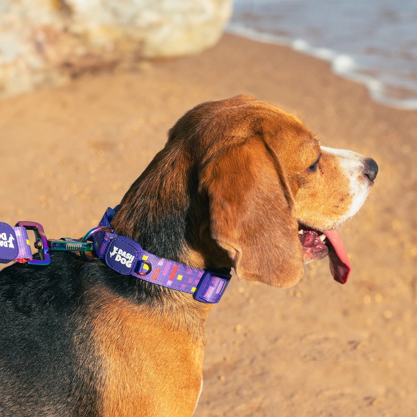 Dash Dog Pixel Padded Collar For Dog - Purple