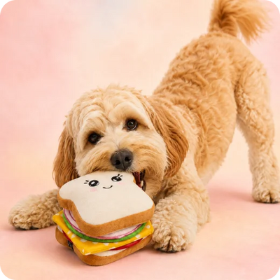 Dog Toys