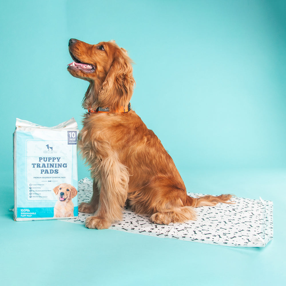 HUFT Charcoal Puppy Training Pads - 60 x 90 cm