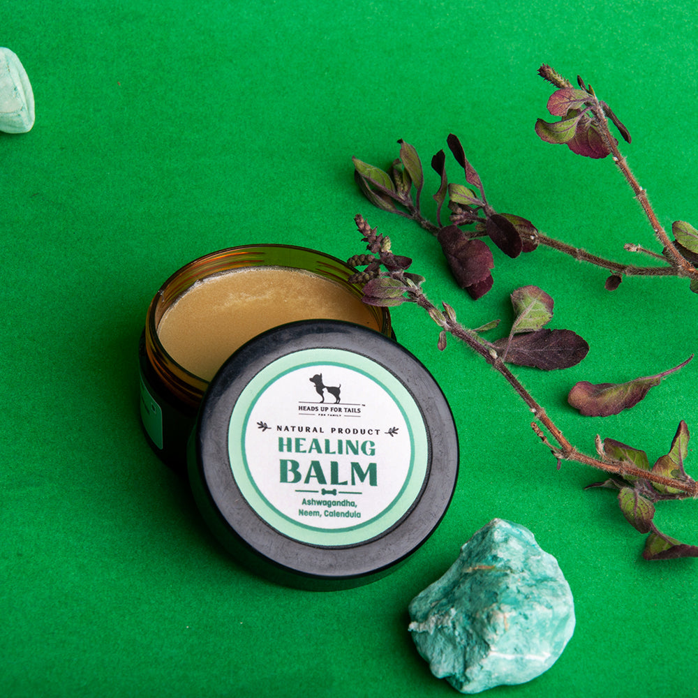 HUFT Organic Healing Dog Balm - 25 g