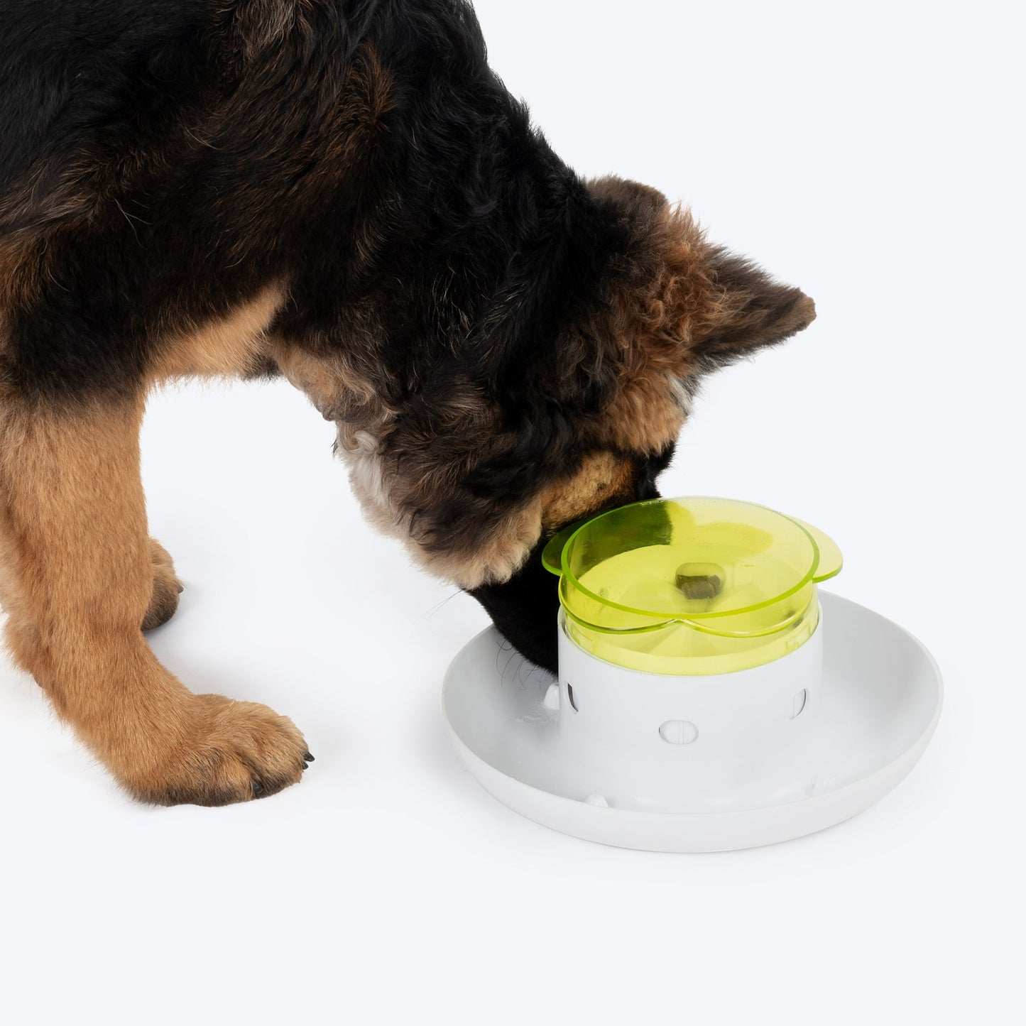 HUFT Push Push Yum! Treat Dispensing Toy For Dog