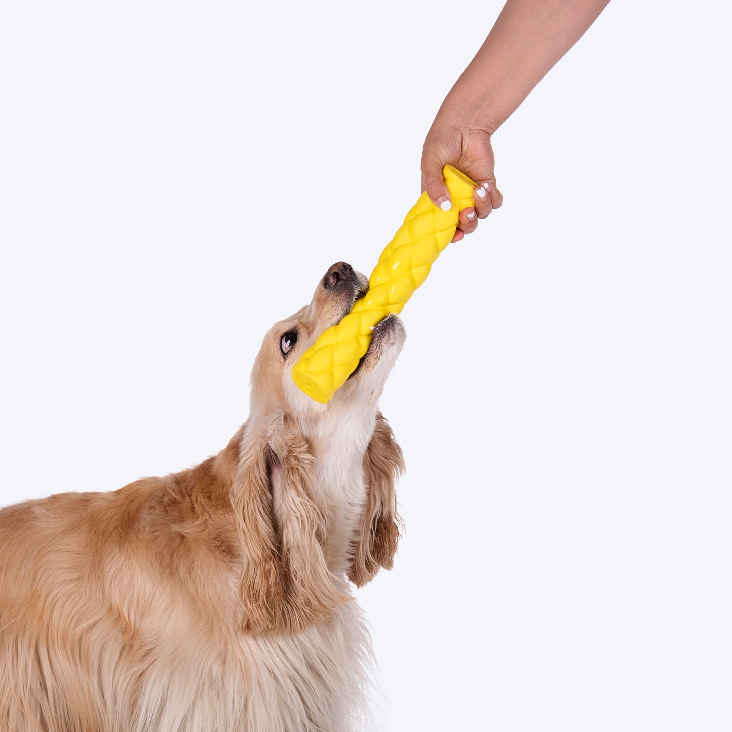 HUFT Twist-n-Chew Toy For Dog - Yellow - L