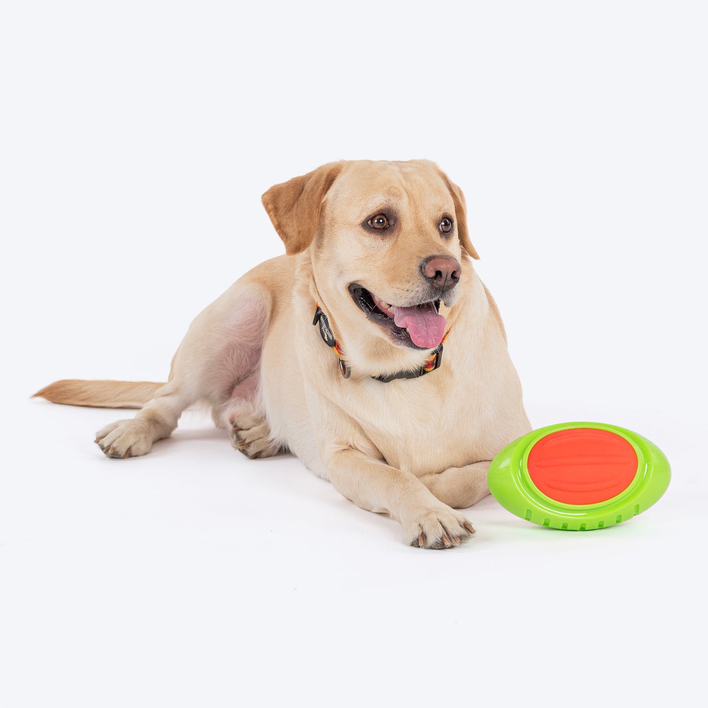 Dash Dog Sprinter Fetch Toy For Dog - Green & Orange - L