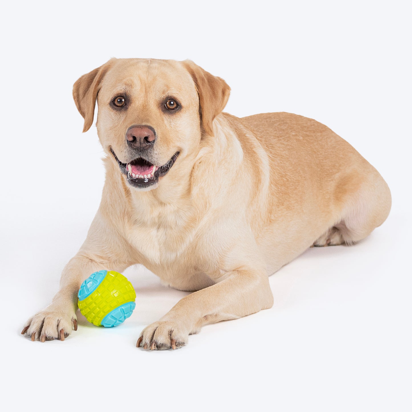 Dash Dog Squeaky Serve Tennis Ball Fetch Toy For Dog - Blue & Green