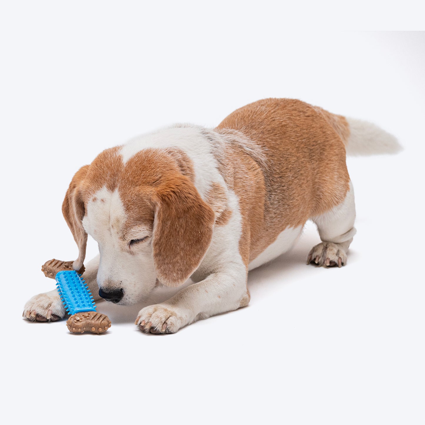 HUFT Spiky Bone Chew Toy For Dog