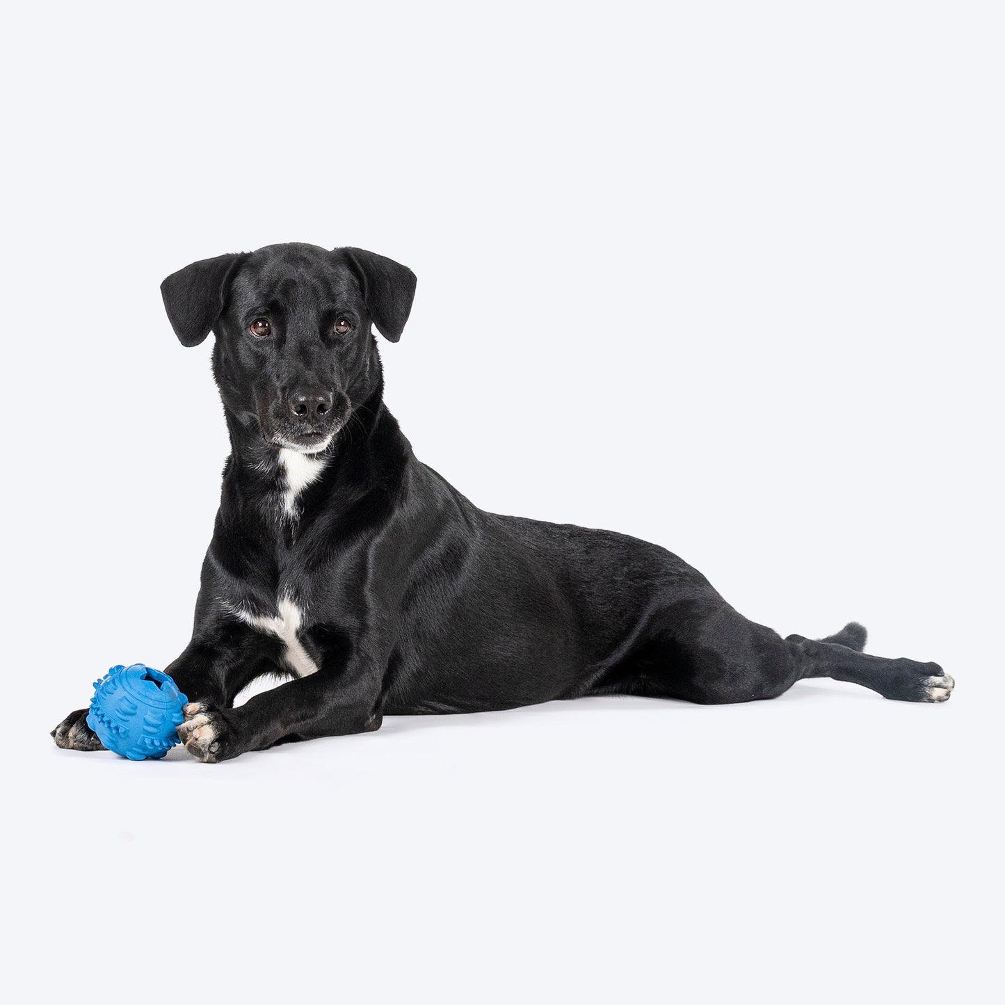 HUFT Chewtastics Treat-Me Chew Toy