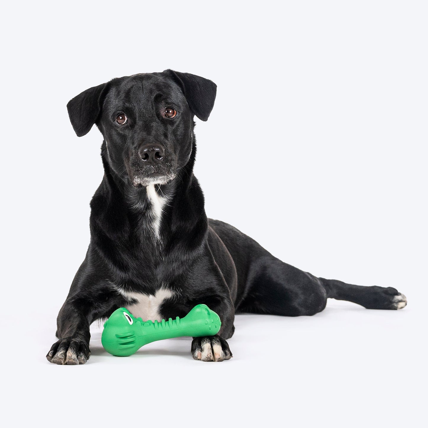 HUFT Chewtastics Croccy Chew Toy