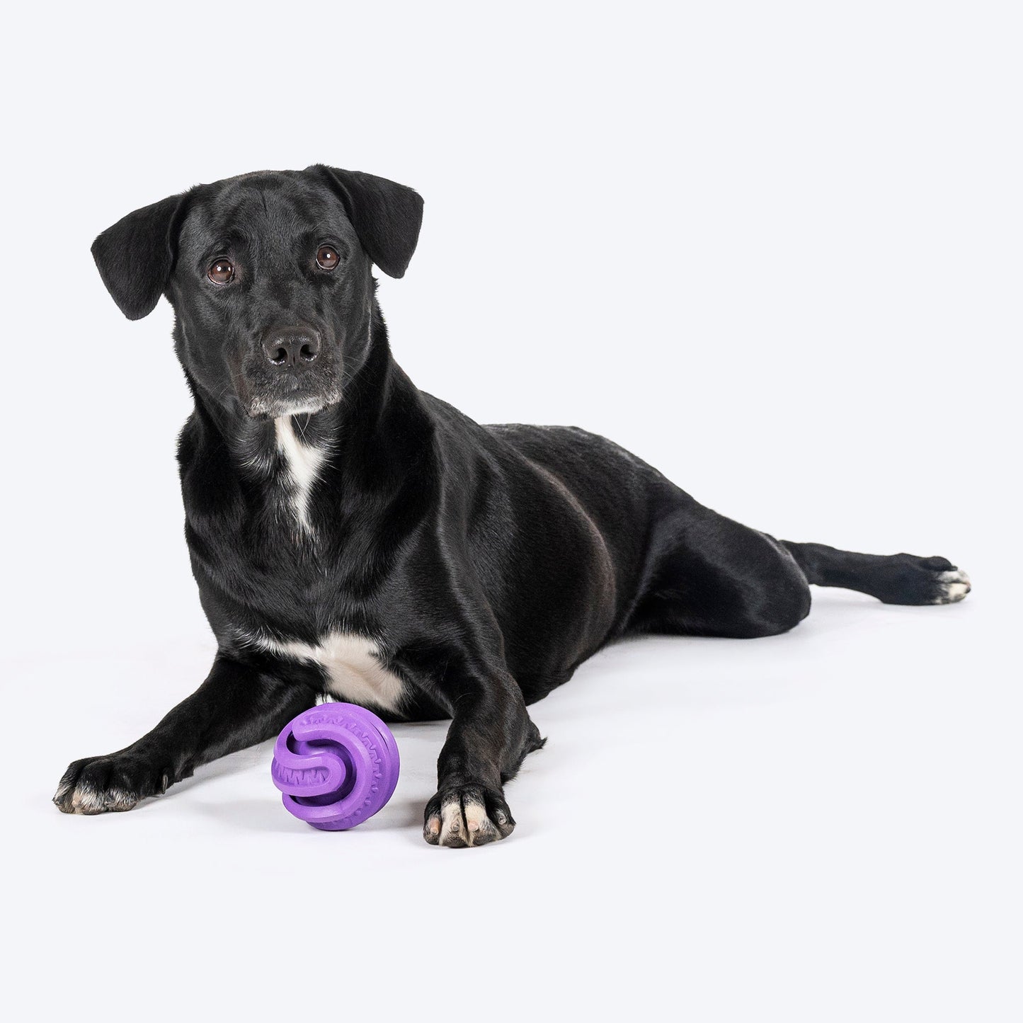 HUFT Chewtastics Feed-Me Chew Toy