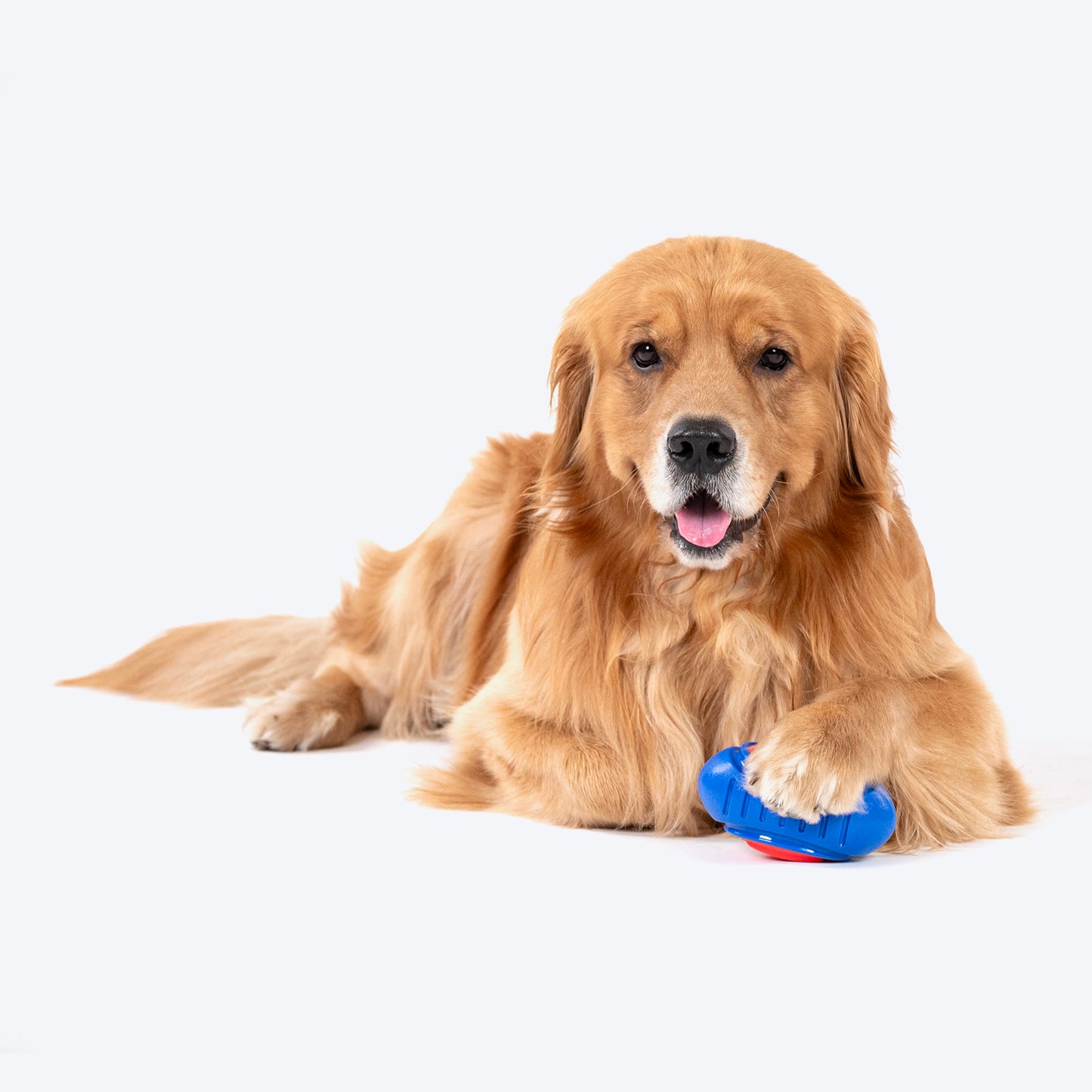 Dash Dog Sprinter Fetch Toy For Dog - Blue & Red - S