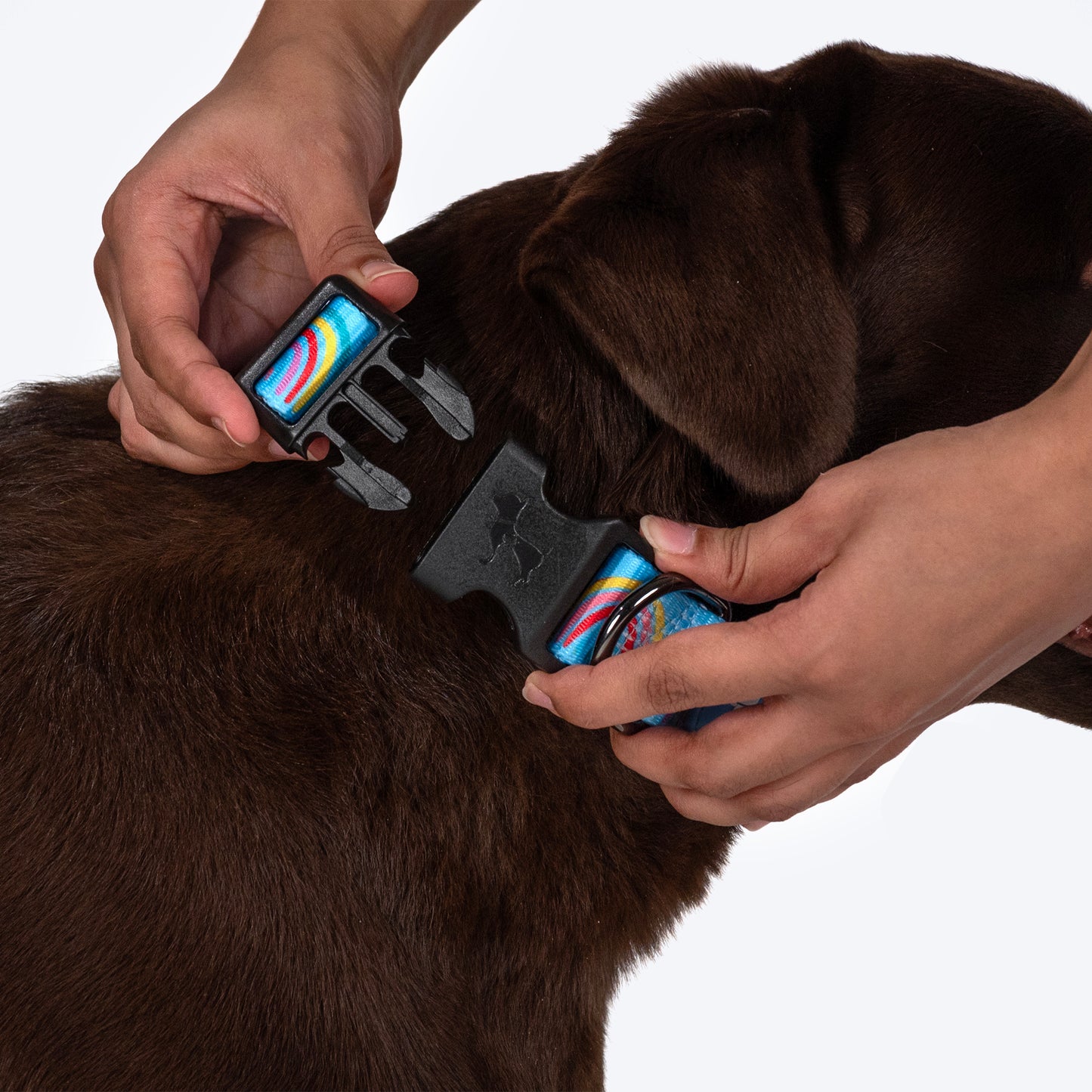 HUFT Over the Rainbow Collar For Dog - Blue