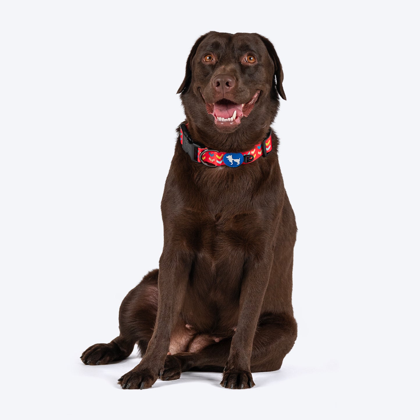 HUFT Heart To Heart Collar For Dog - Red