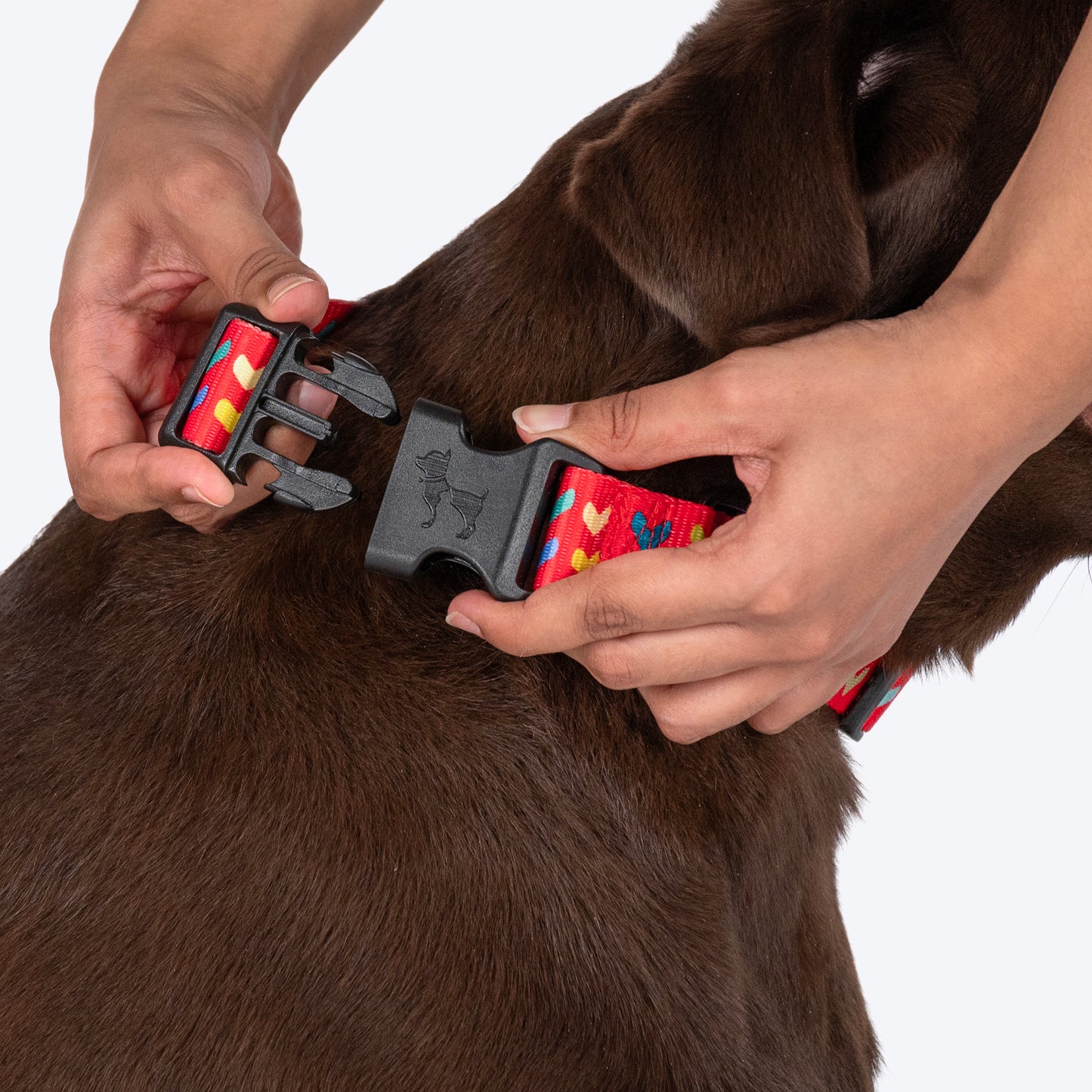 HUFT Heart To Heart Collar For Dog - Red