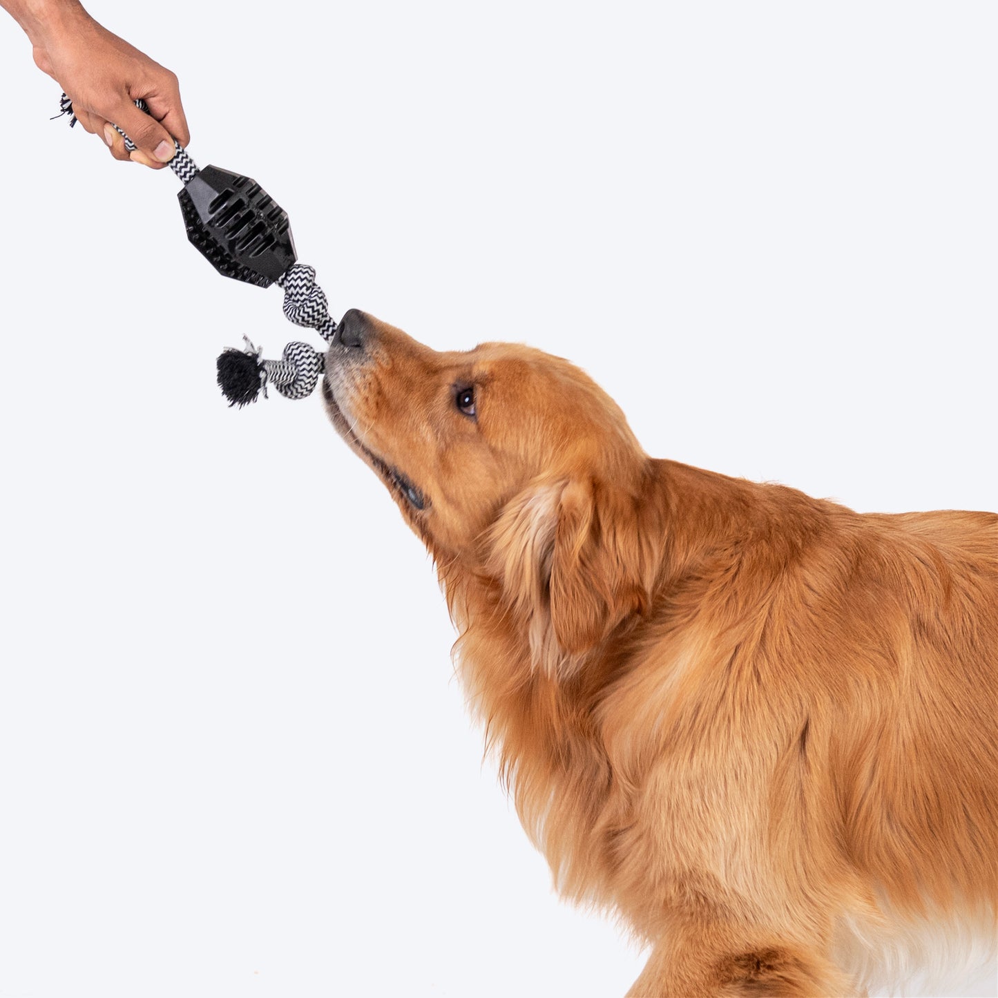 HUFT Tug Rug Rope Toy For Dogs