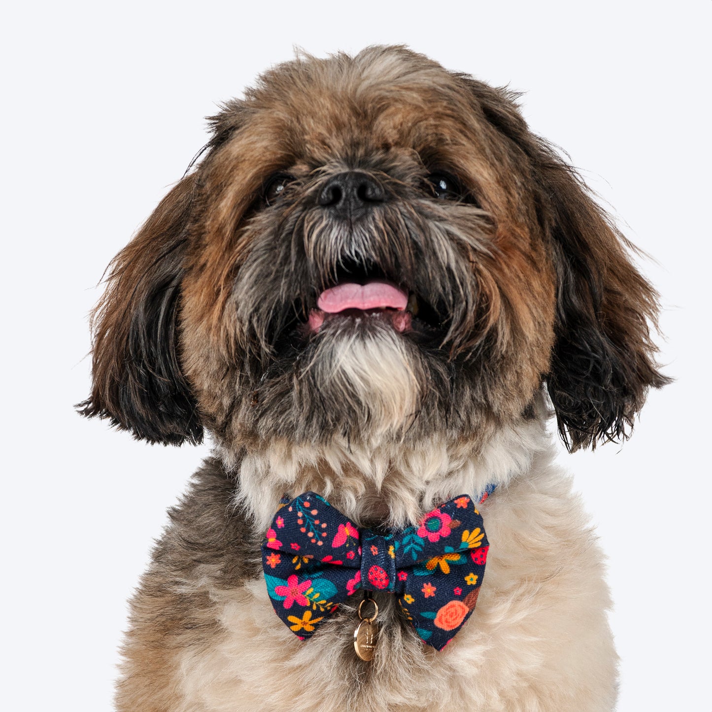 HUFT Bloomscape Printed Bow Tie For Small Dog - Navy