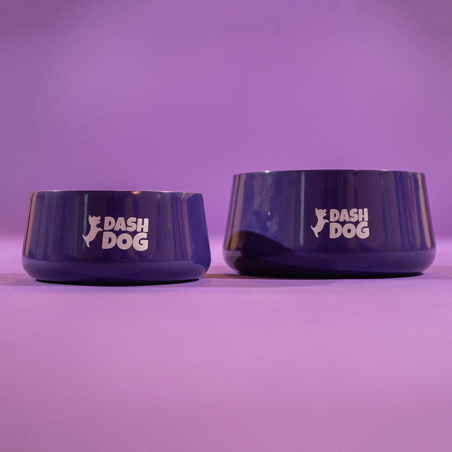 Dash Dog Tulip Bowl For Dogs