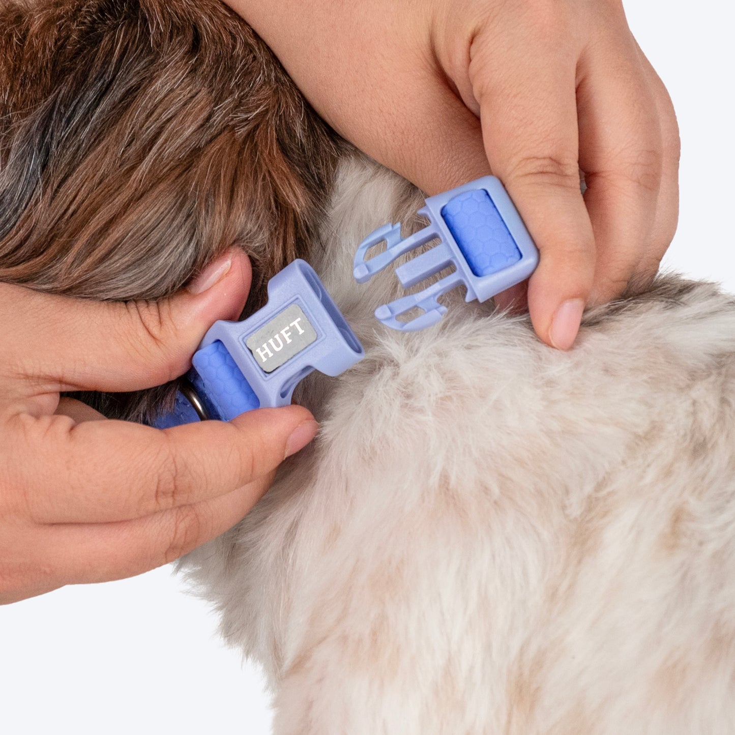 HUFT Hive Harmony Waterproof Collar And Leash Set For Dog - Blue