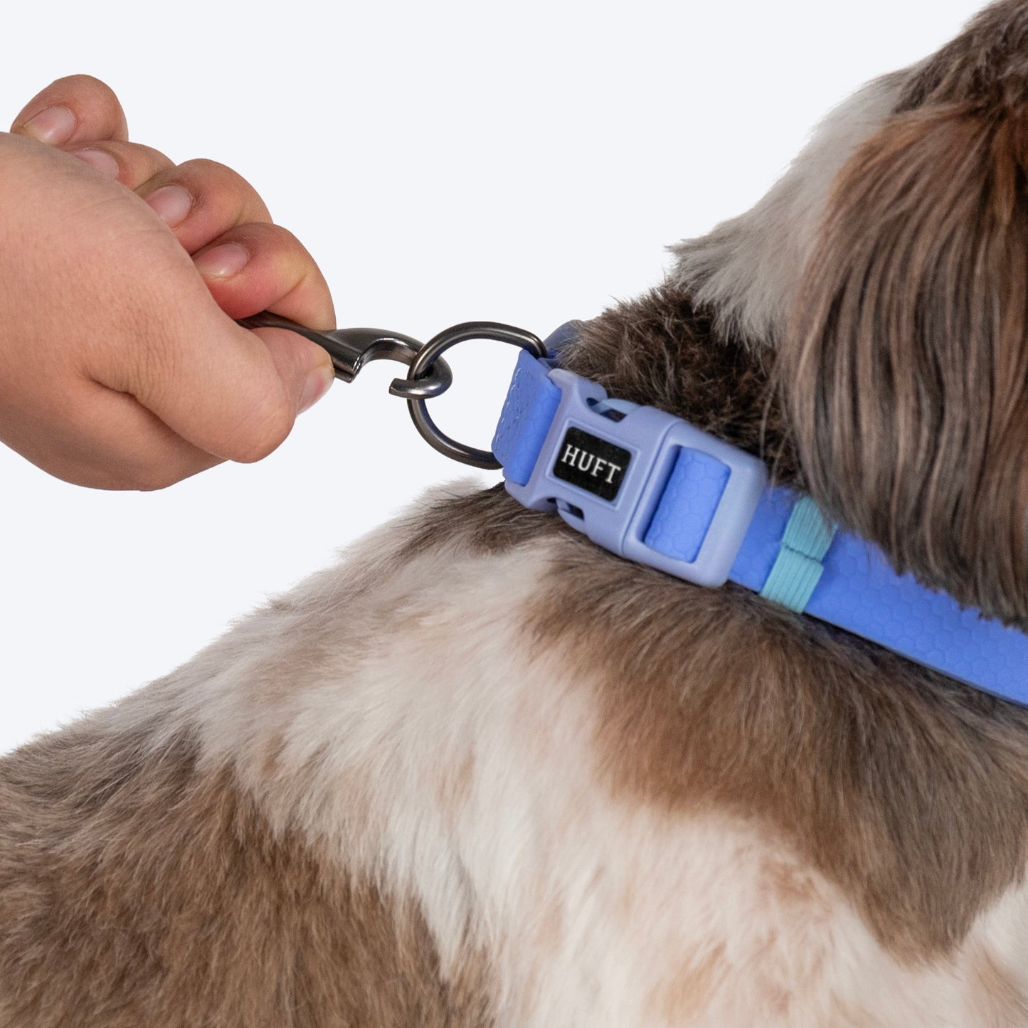 HUFT Hive Harmony Waterproof Collar And Leash Set For Dog - Blue