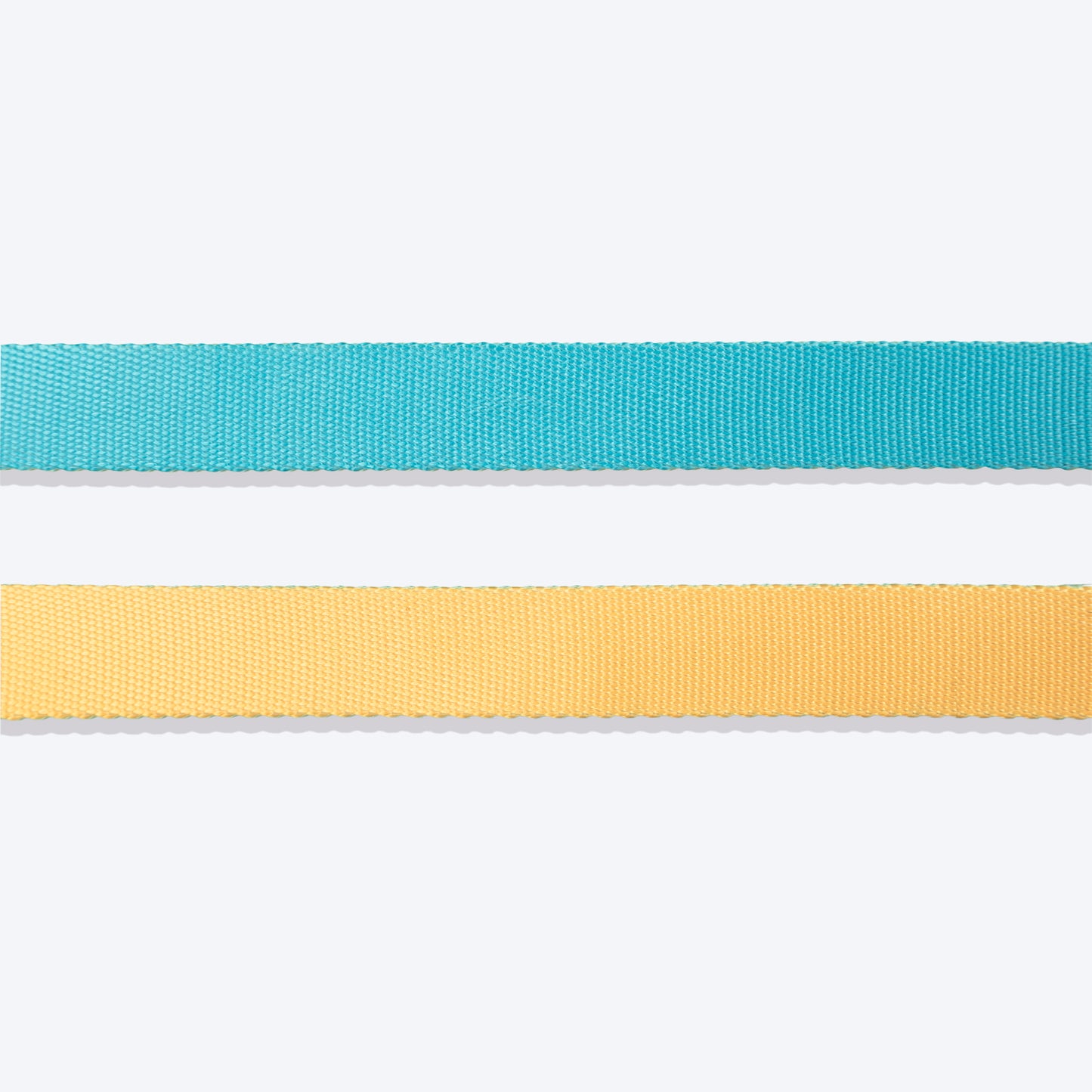 HUFT Dichromatic Leash For Dog - Turquoise & Orange