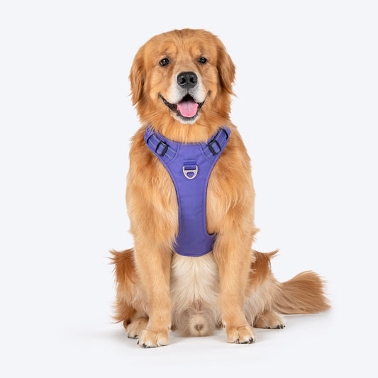 HUFT Xplorers Harness For Dog - Purple