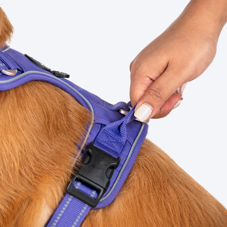 HUFT Xplorers Harness For Dog - Purple