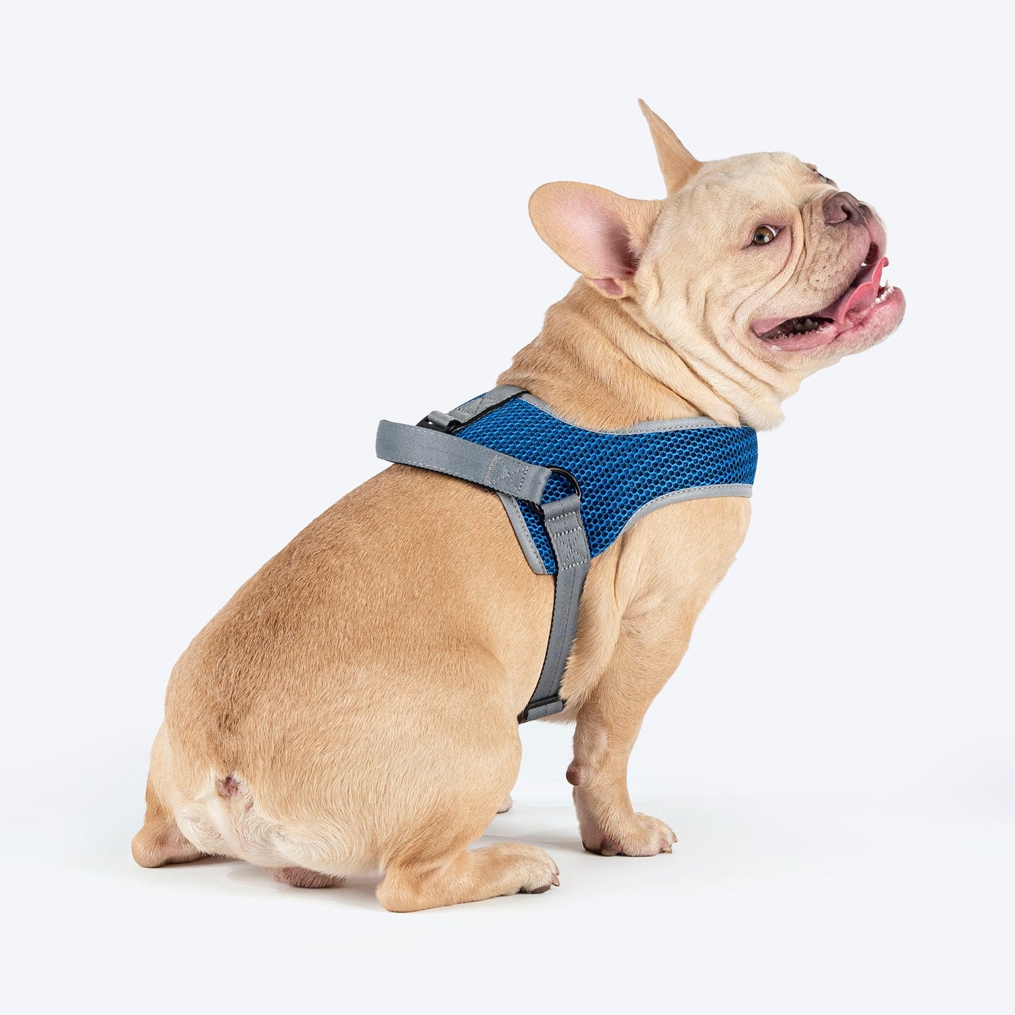 HUFT Easy Fit U-Harness For Dogs - Blue