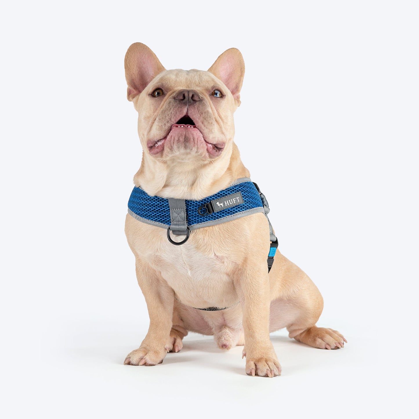 HUFT Easy Fit U-Harness For Dogs - Blue