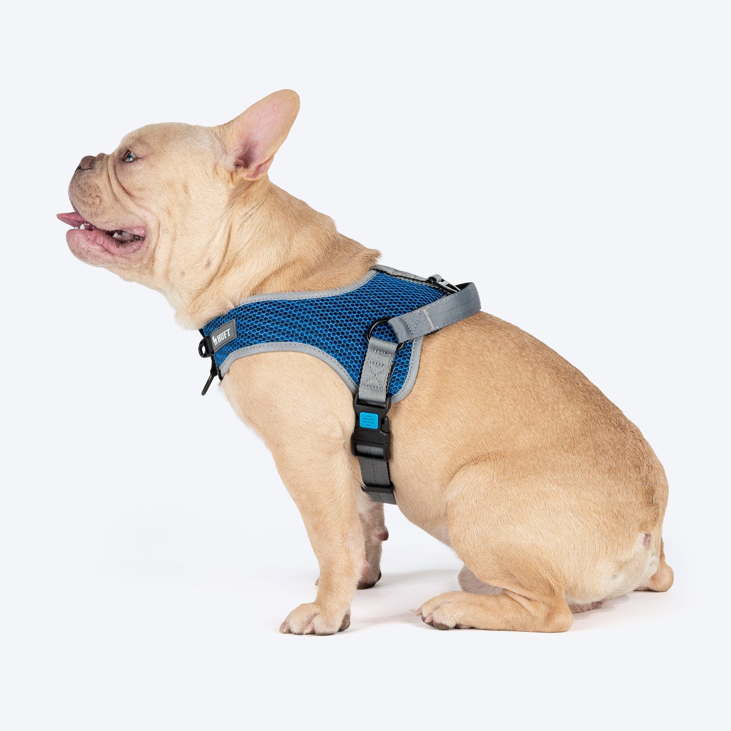 HUFT Easy Fit U-Harness For Dogs - Blue