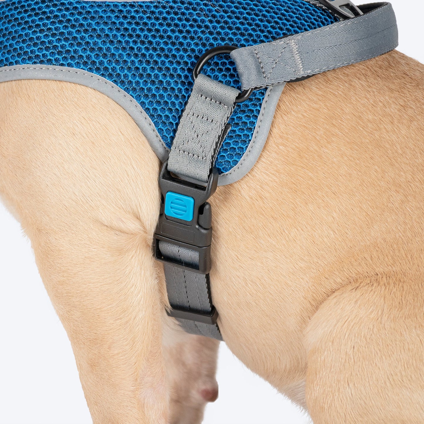 HUFT Easy Fit U-Harness For Dogs - Blue