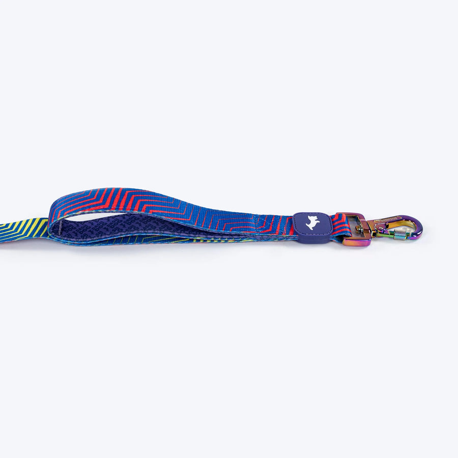Dash Dog Chevron Dual Handle Leash For Dog - Purple
