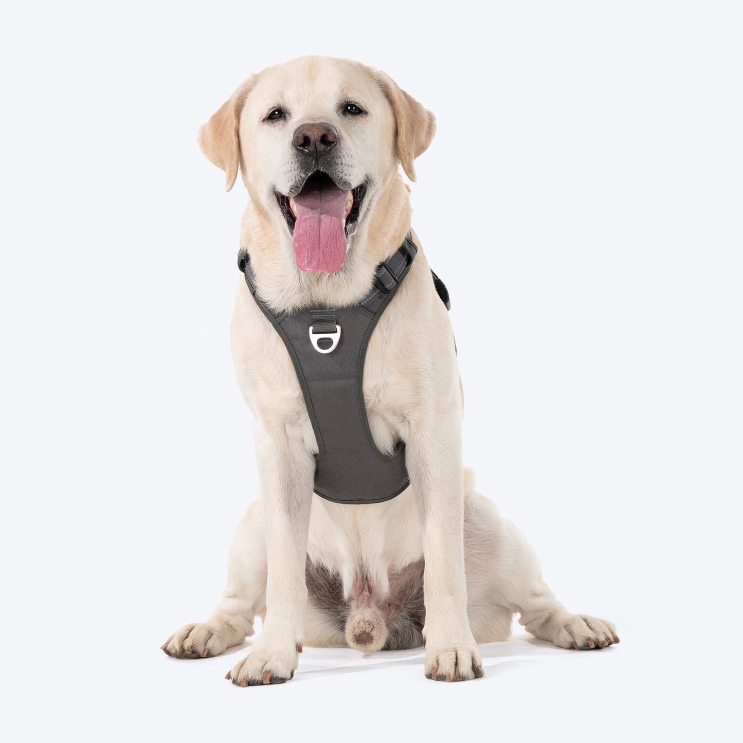 HUFT Xplorers Harness For Dog - Grey