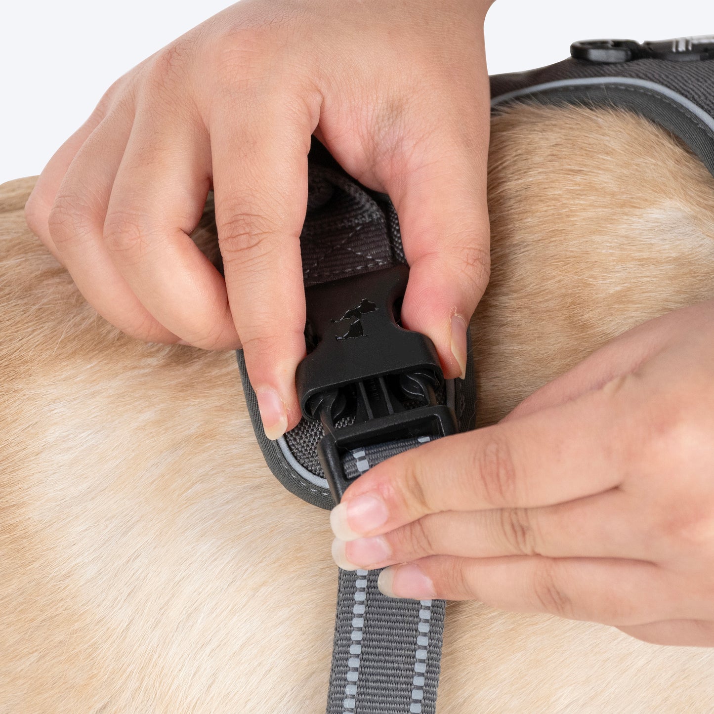 HUFT Xplorers Harness For Dog - Grey