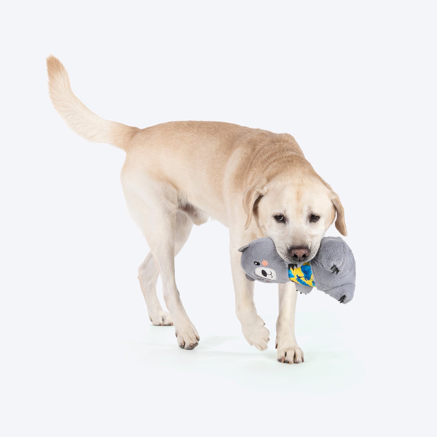 HUFT Sir Hug-A-Lot Toy For Dog
