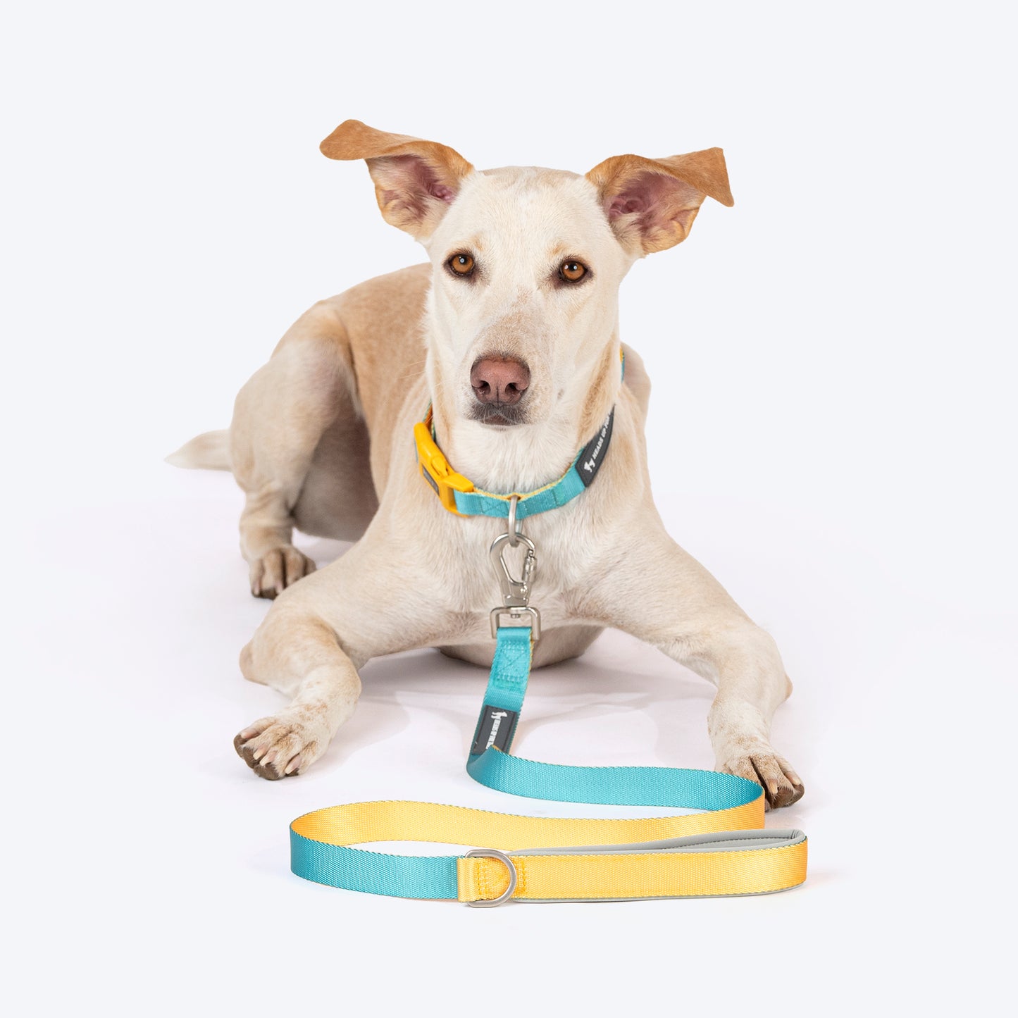 HUFT Dichromatic Leash For Dog - Turquoise & Orange