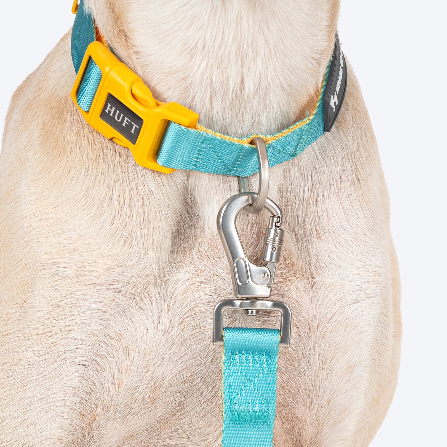 HUFT Dichromatic Leash For Dog - Turquoise & Orange