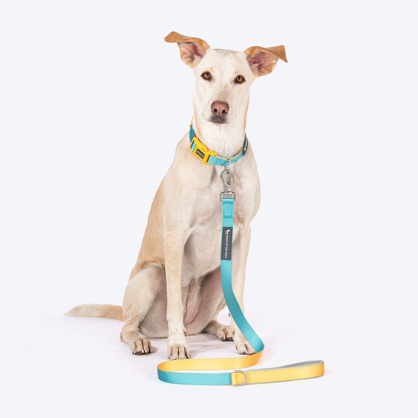 HUFT Dichromatic Leash For Dog - Turquoise & Orange