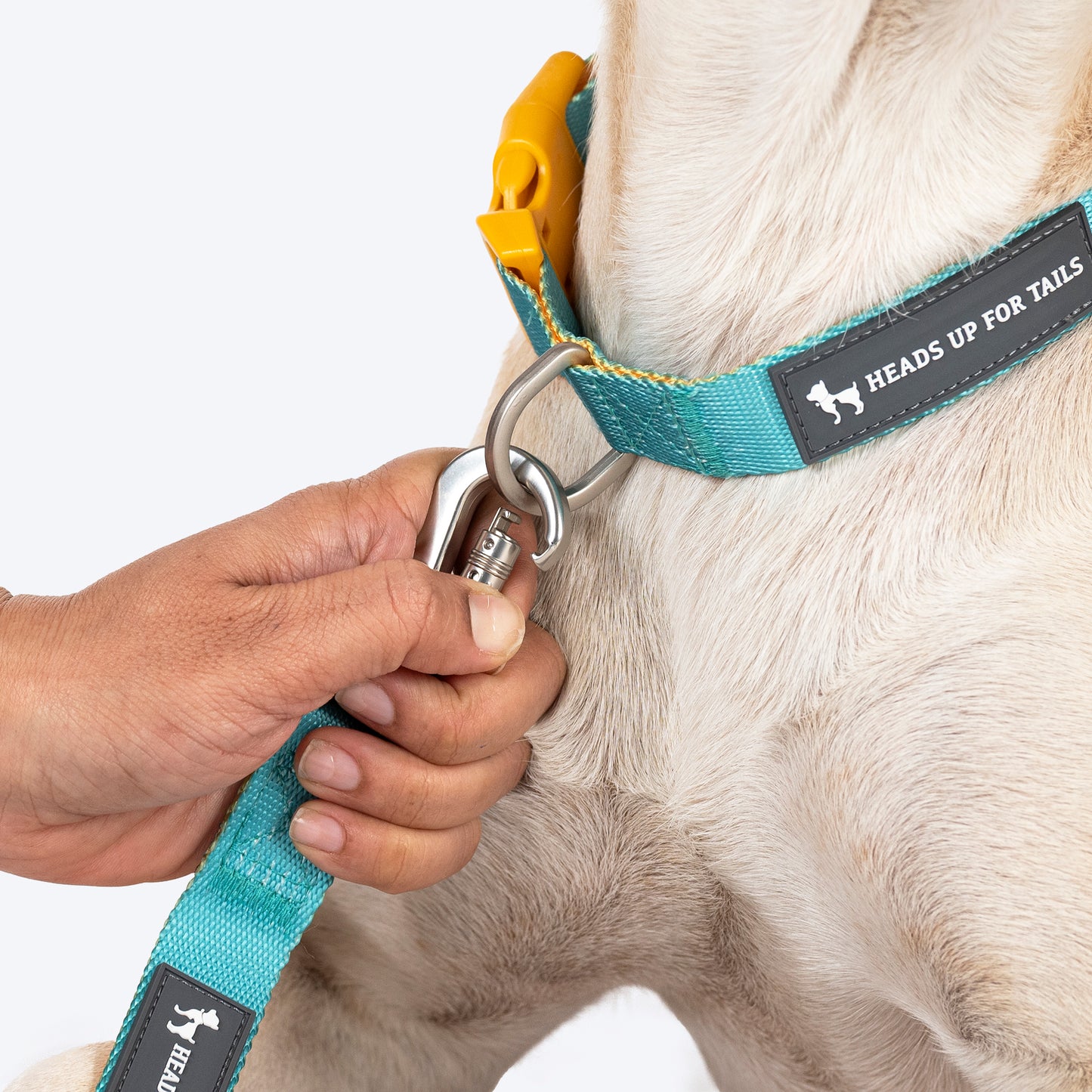 HUFT Dichromatic Leash For Dog - Turquoise & Orange