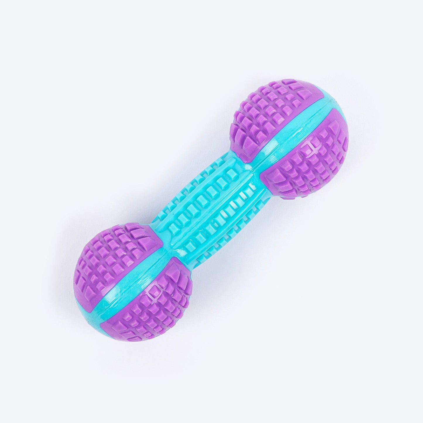 Dash Dog Gnaw & Go Squeaky Toy For Dog - Purple & Blue