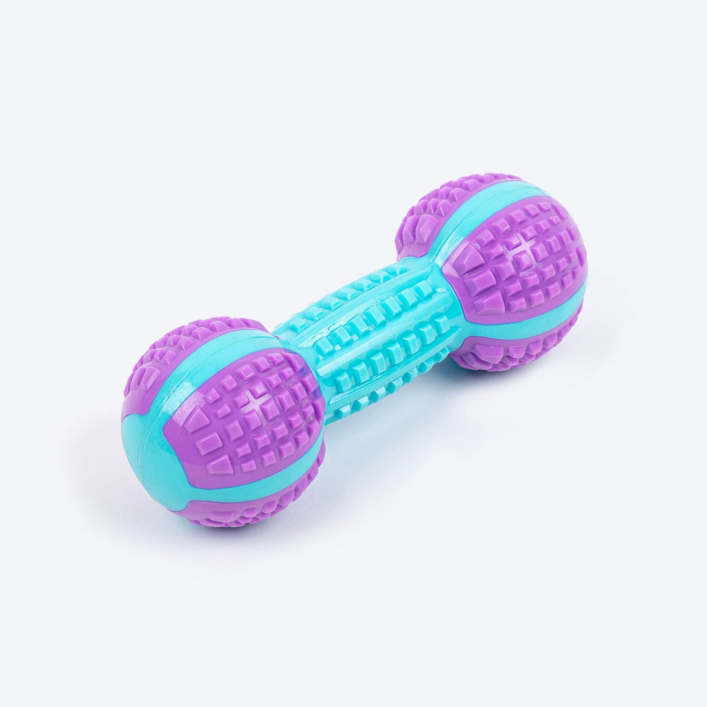 Dash Dog Gnaw & Go Squeaky Toy For Dog - Purple & Blue