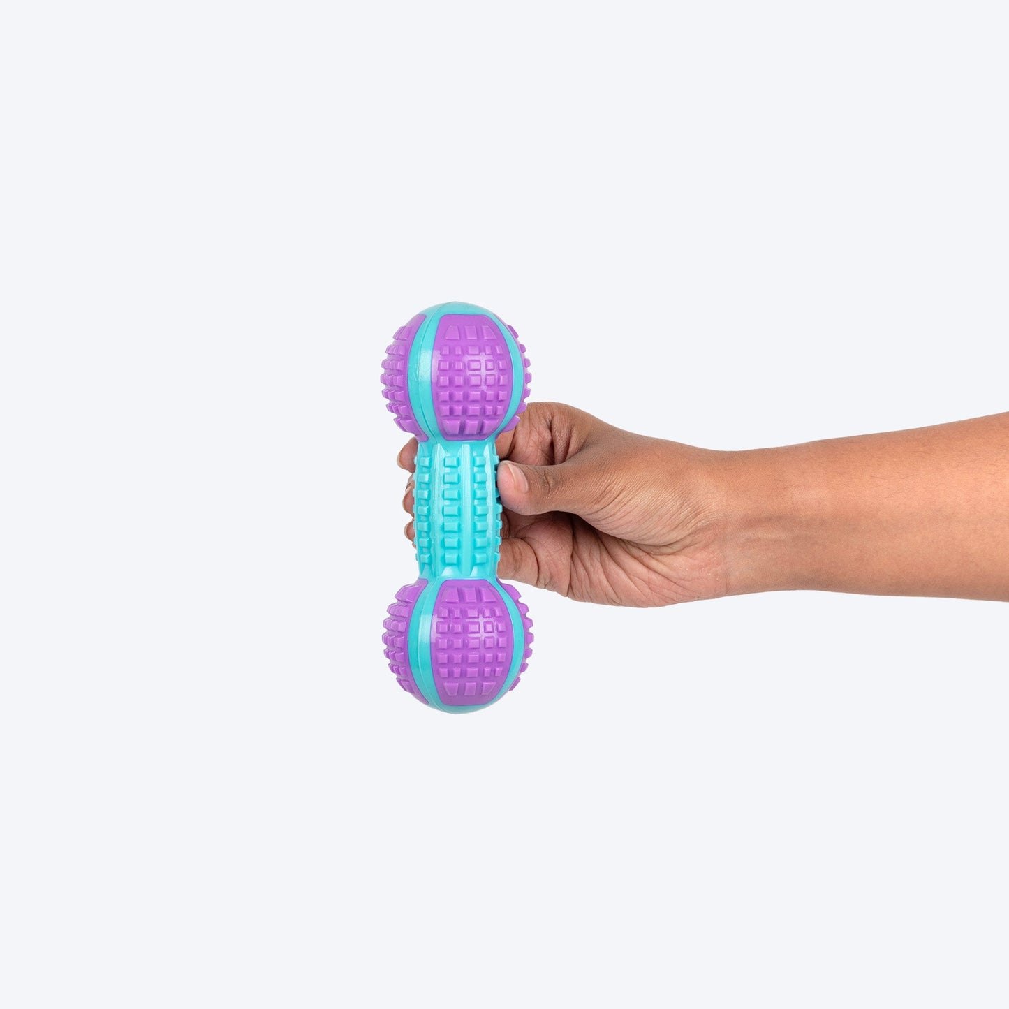 Dash Dog Gnaw & Go Squeaky Toy For Dog - Purple & Blue